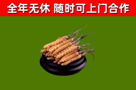 八步区烟酒回收冬虫夏草.jpg